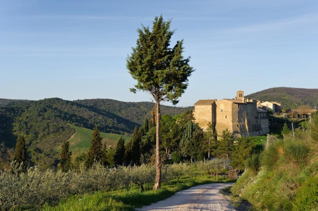 Umbria Nel Cuore Cannara Eksteriør bilde
